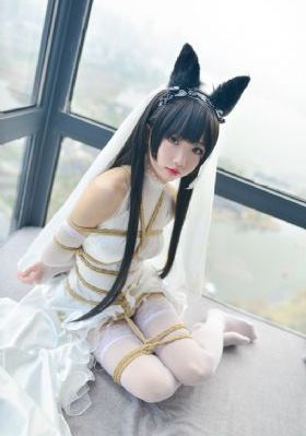 日本av女优视频免费观看_超清电影完整版